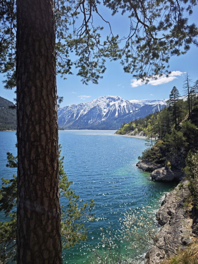 Achensee Karibik in Österreich